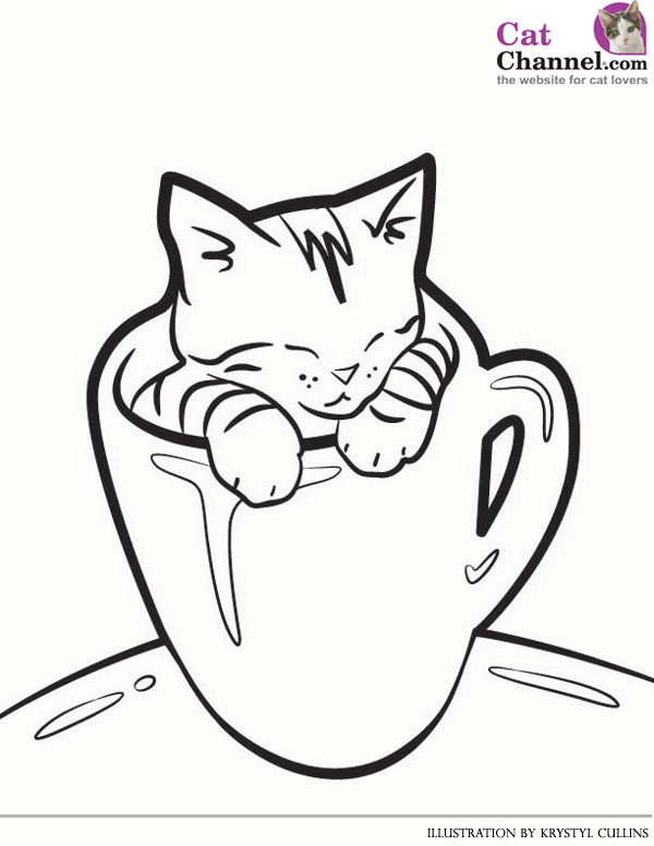 Newborn Kitten Coloring Pages
