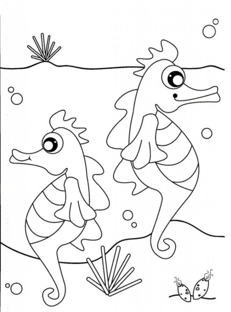 Seahorse Coloring Pages To Print - HD Printable Coloring Pages