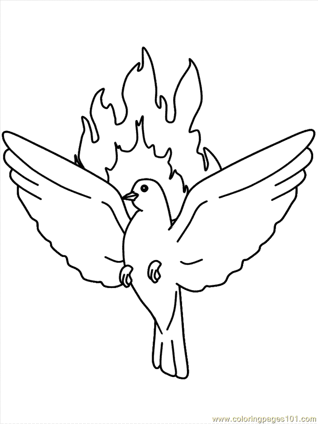 Holy Spirit...dove and flame | Faith: Catechesis & Formation