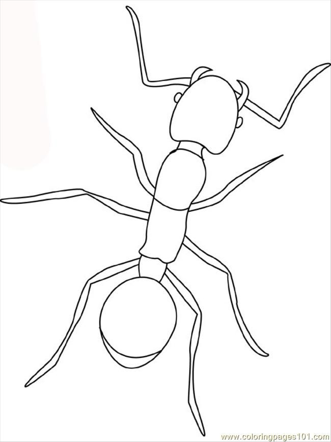 Coloring Pages Ant (Animals > Insects) - free printable coloring 