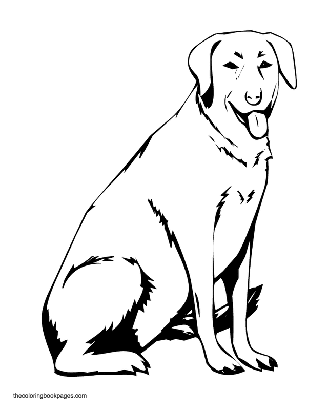 Labrador retriever sits patiently - Dog coloring book pages