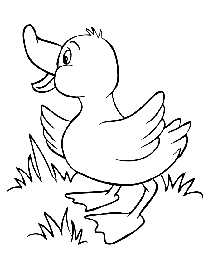 Duckling Coloring Pages - Coloring Home
