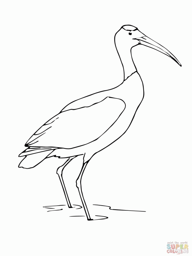 Wood Stork Coloring Online Super Coloring 118007 Stork Coloring Pages