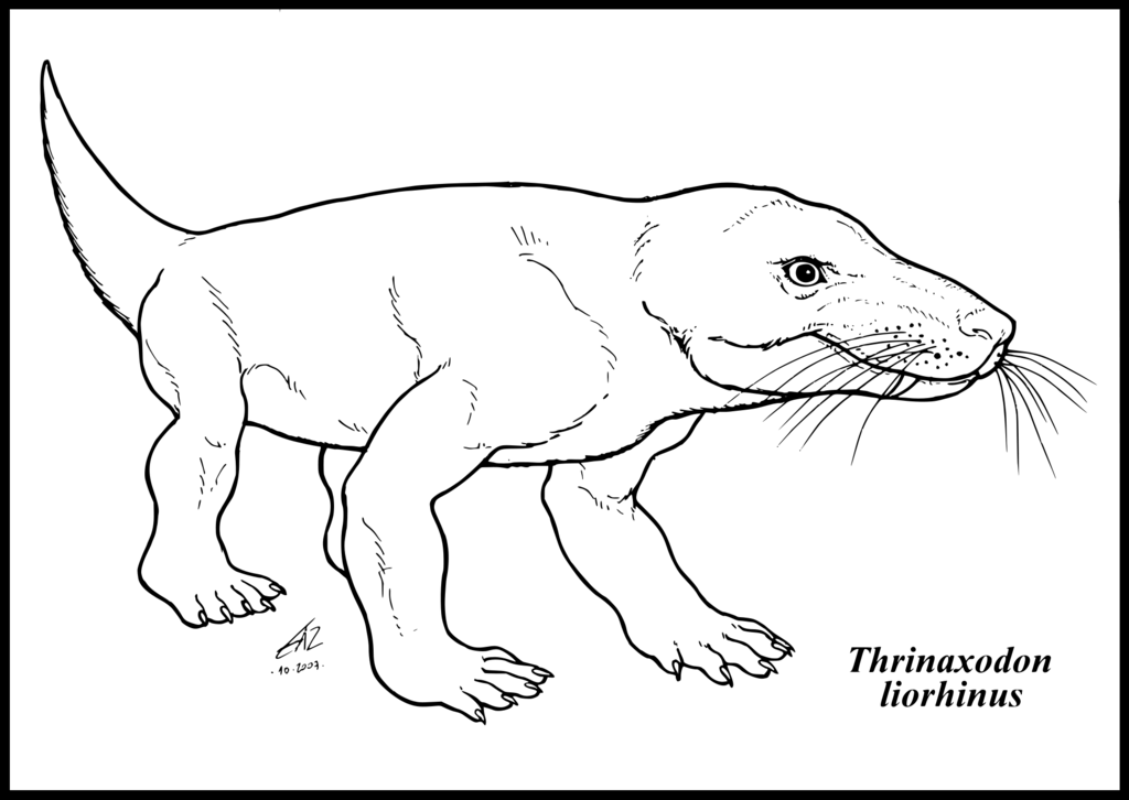 Thrinaxodon liorhinus by zakafreakarama on deviantART