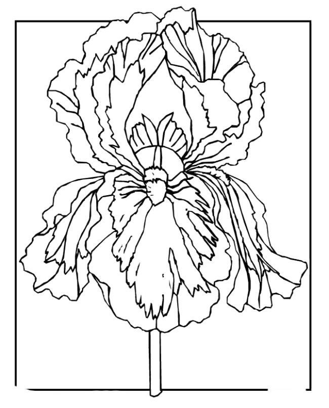 Spring Coloring Pages For Kids Printable #4319 | Pics to Color