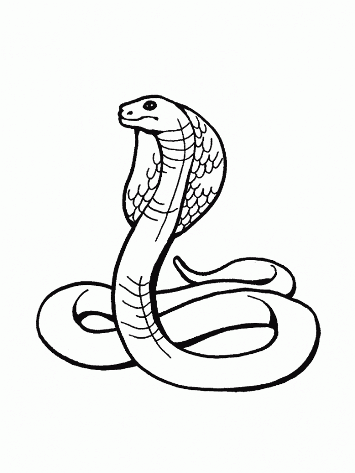 Snake Coloring Pages Kids Printable