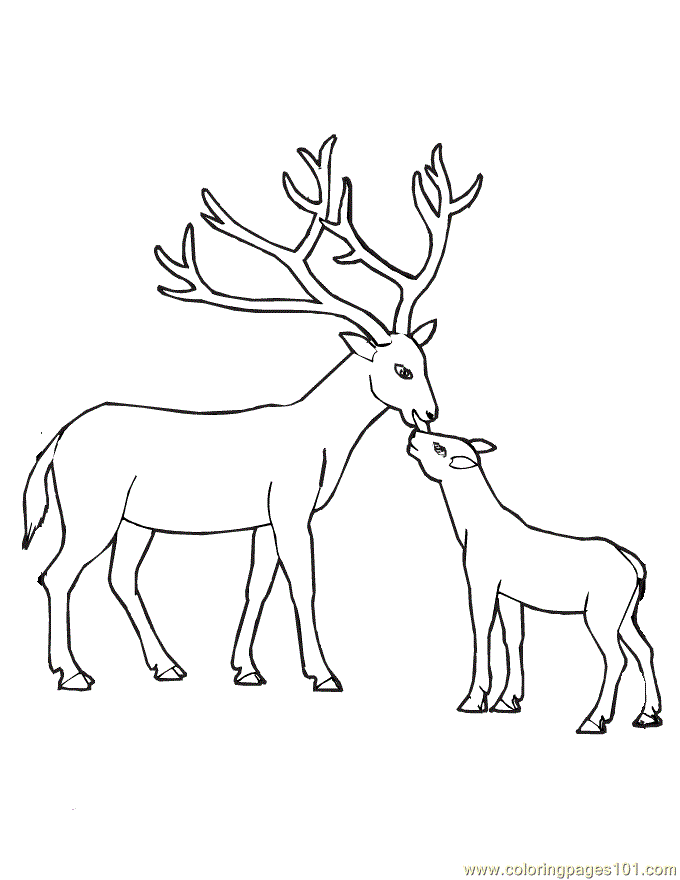 Coloring Pages Baby Deer (Mammals > Deer) - free printable 
