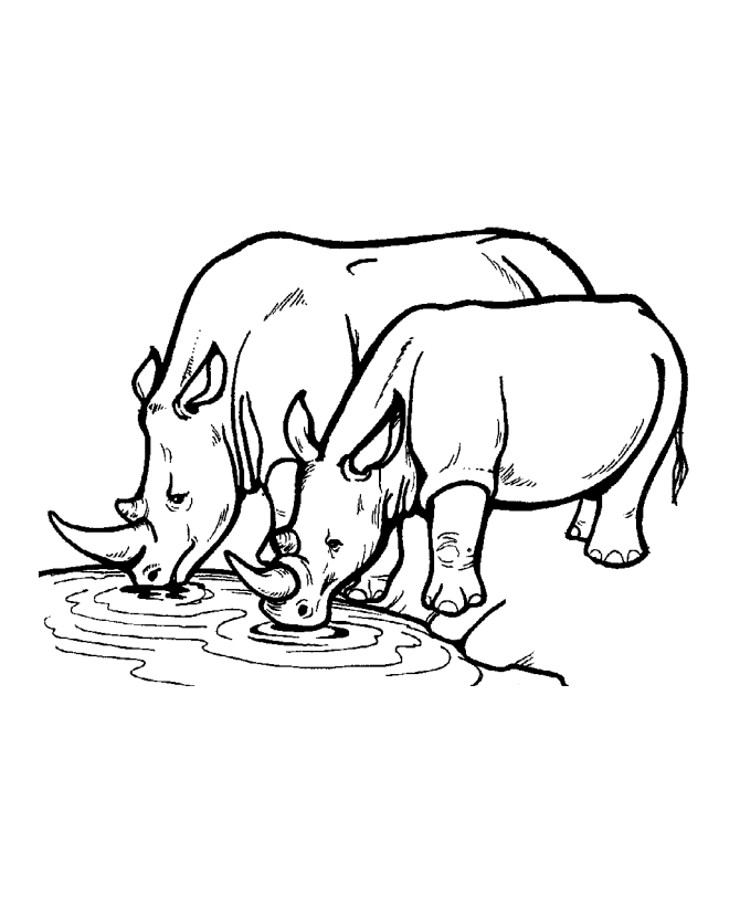 Rhino Coloring Pages 5 | Free Printable Coloring Pages