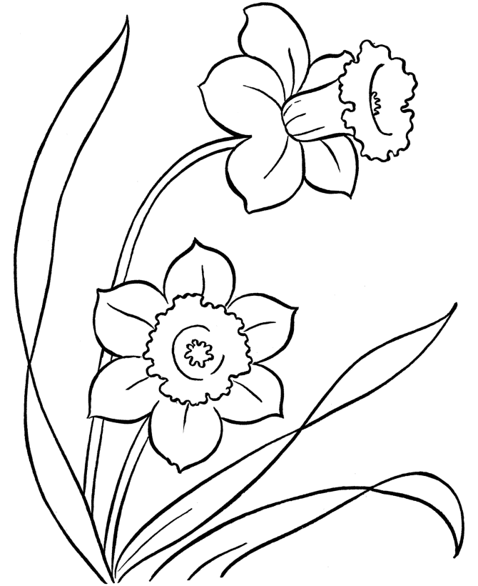 Easter Coloring Pages Page 1 | Cartoon Coloring Pages