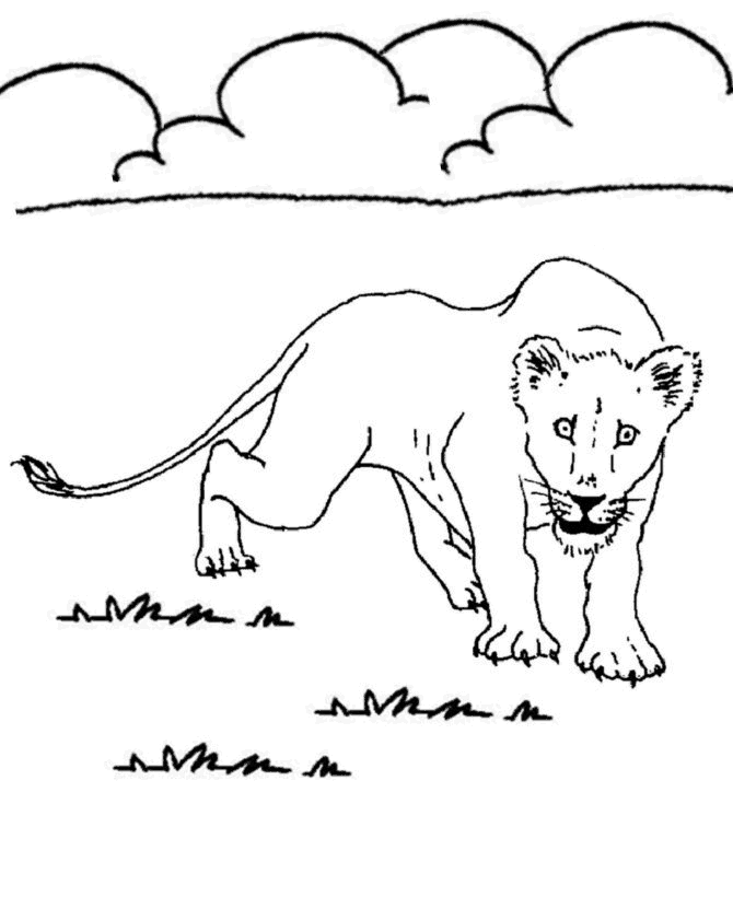 Animal Coloring Pages – Lion | coloring pages