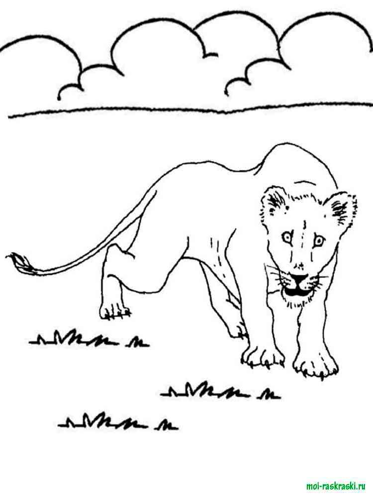 Jungle Animal Coloring Pages | Coloring Pages