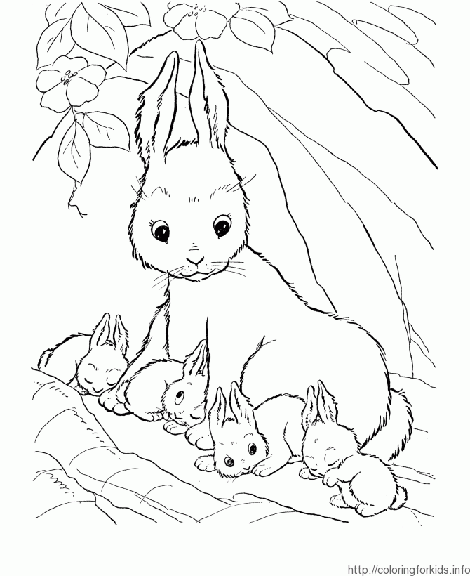 Printable Mother Rabbit Coloring Page - ColoringforKids.info 