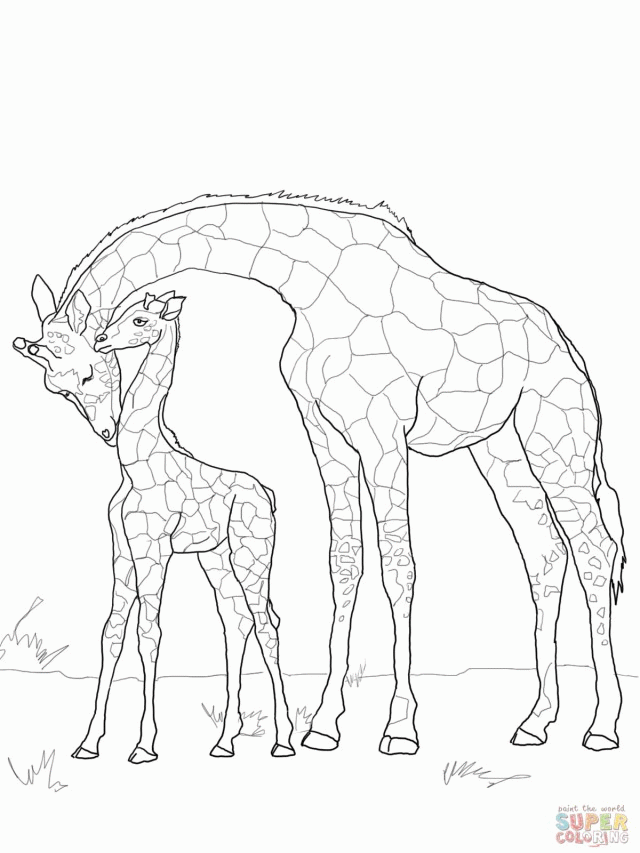 Baby Giraffe Coloring Pages Coloring Book Area Best Source For 