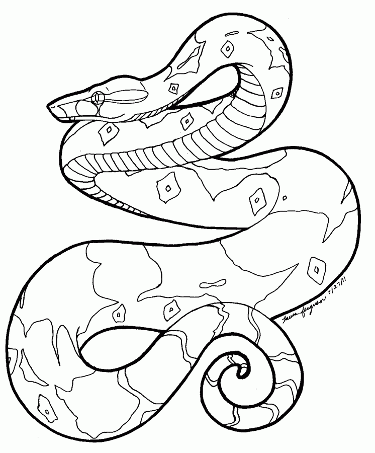 Coloring Pages Of Snakes - Coloring Home
