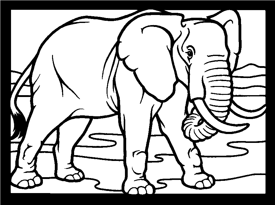 Download Manatee Coloring Page - Coloring Home