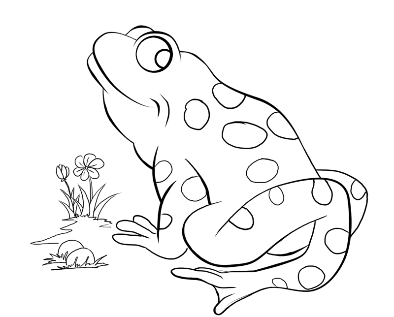 big Frog Coloring Pages to print | Coloring Pages