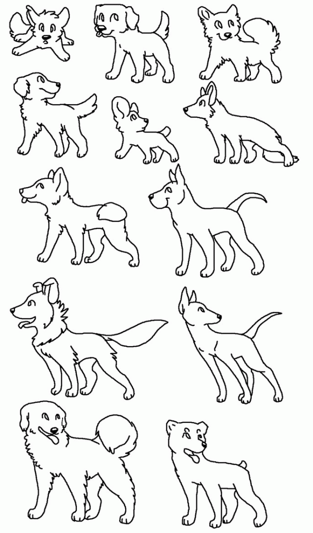 Coloring Pages Of Dog Breeds Printable Coloring Sheet 99Coloring 