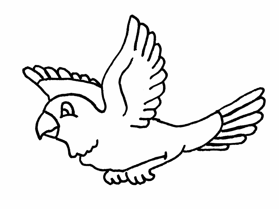 Parrot Colouring Page - Colouring Pages Online Australia