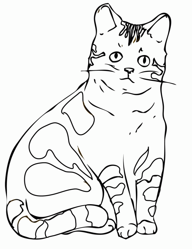 Viewing Gallery For Realistic Cat Coloring Page 48601 Cat Coloring 