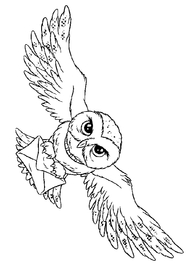 Owl Harry Potter coloring pages | color online Free Printable 