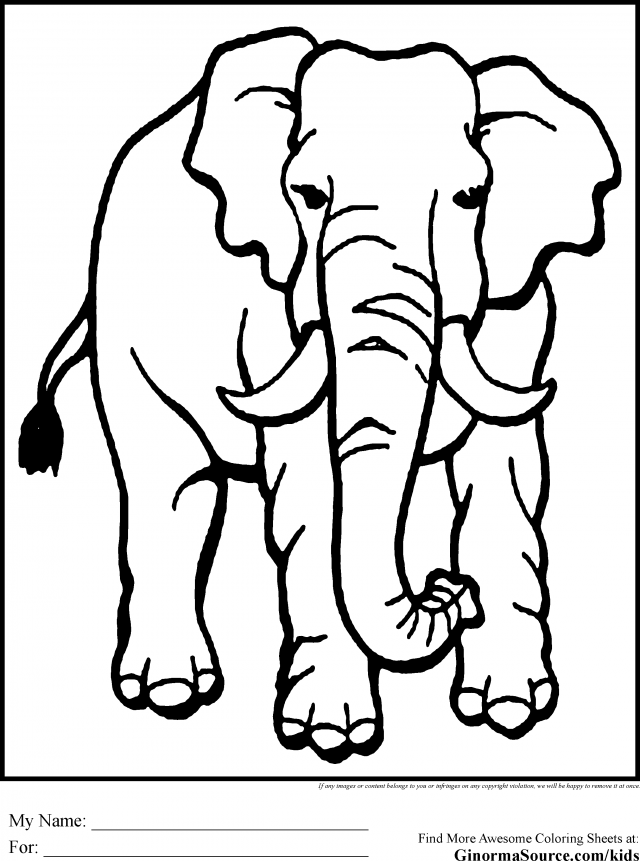 Jungle Animals Coloring Pages 47223 Label Animals In The Jungle 