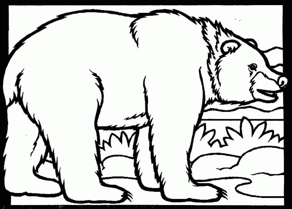 Black Bear Coloring Pages   Coloring Home