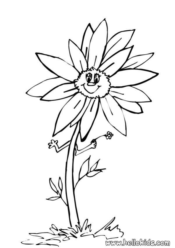 FLOWER coloring pages - Sunflower