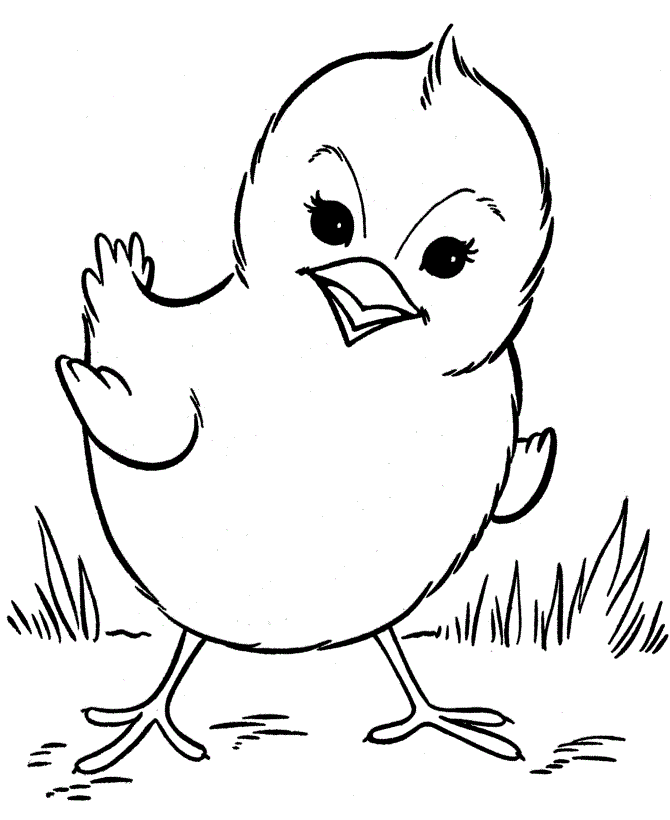 attractive chickens coloring pages for preschoolers - Coloring Point