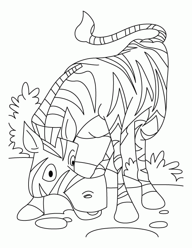 funny zebra coloring pages for kids | Great Coloring Pages
