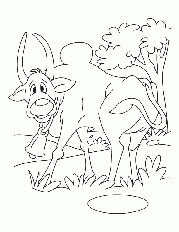 Ox-dont dare attacking back coloring pages | Download Free Ox-dont 