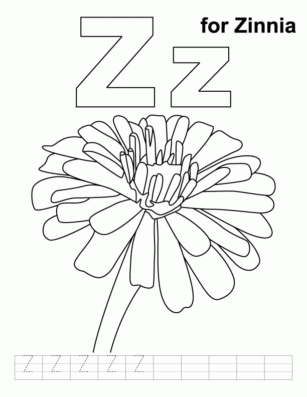 Z for zinnia coloring page with handwriting practice | Download 