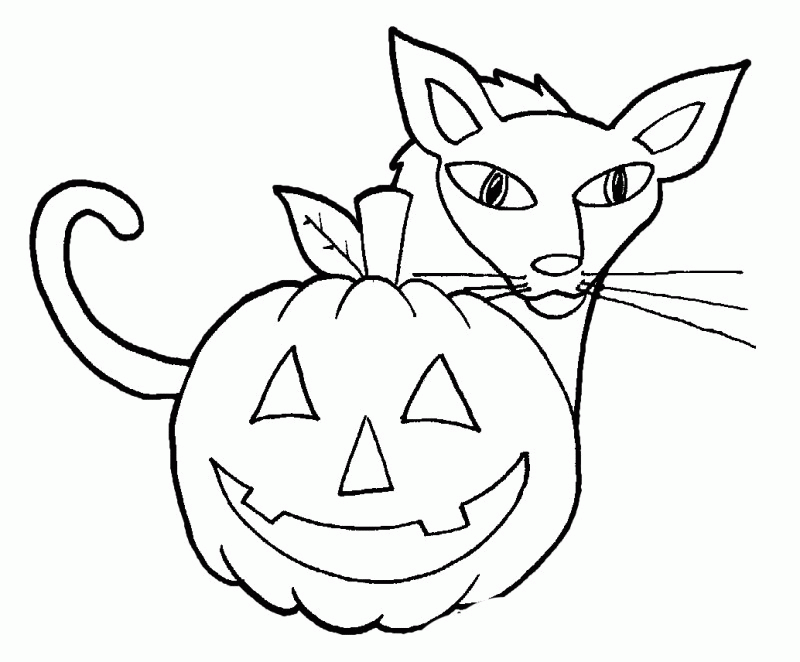 Grumpy Cat And Pumpkins Coloring Page - Kids Colouring Pages