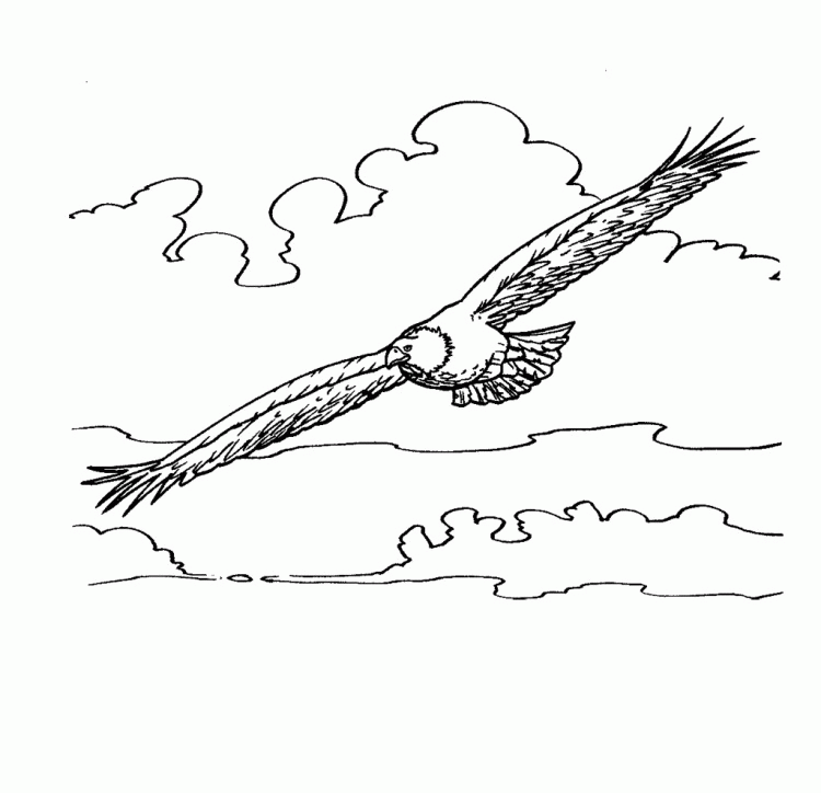 Eagle Fly In The Sky Coloring Pages - Animal Coloring Coloring 
