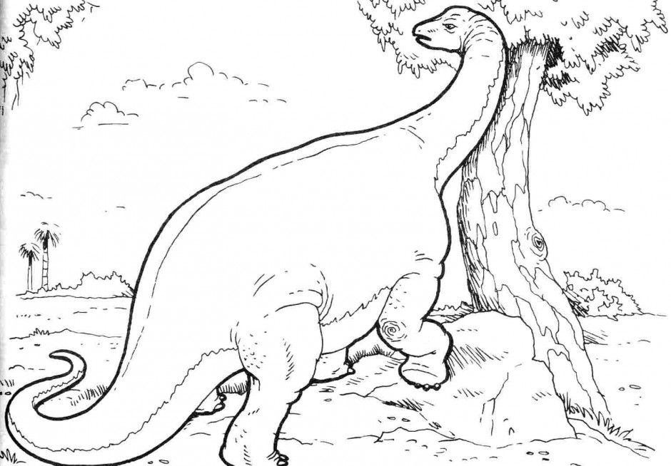 Brontosaurus Coloring Pages For Kids Related Pictures Id 79957 