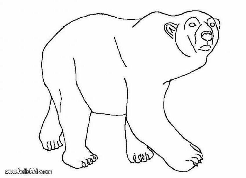 Polar Bear Cute Polar Bear Coloring Page Cute Polar Bear Coloring 