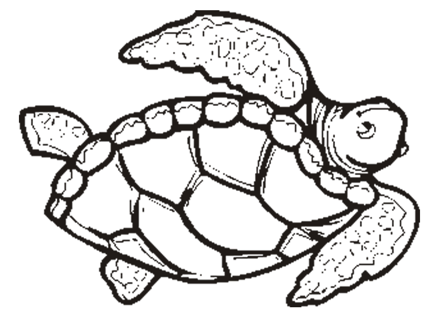 turtle coloring pages | Coloring Picture HD For Kids | Fransus 