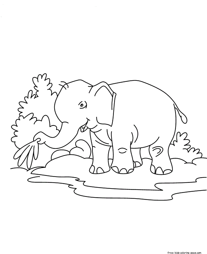baby elephant printable coloring pages for kids - Free Printable 