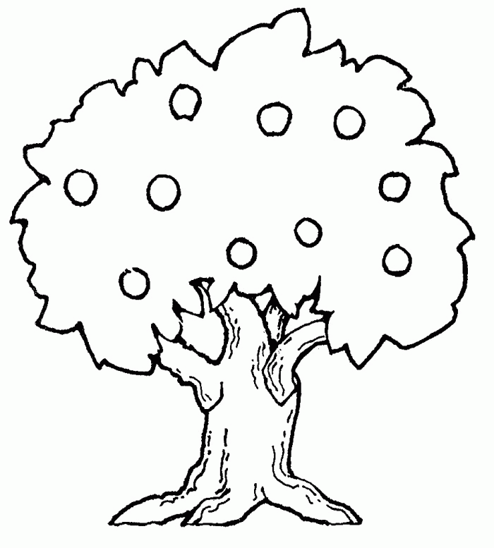 Apple Tree Coloring Page Educations | 99coloring.com