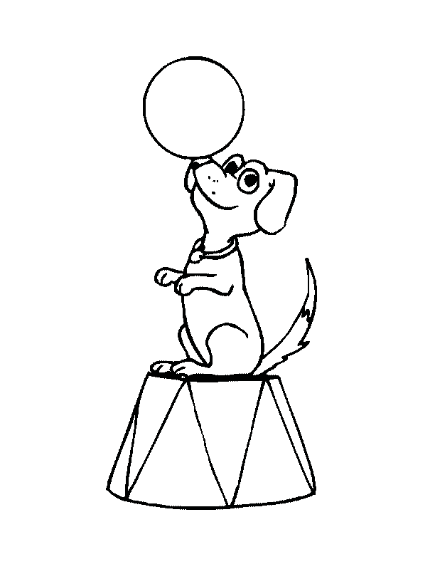 colorwithfun.com - Circus Dog Coloring Page