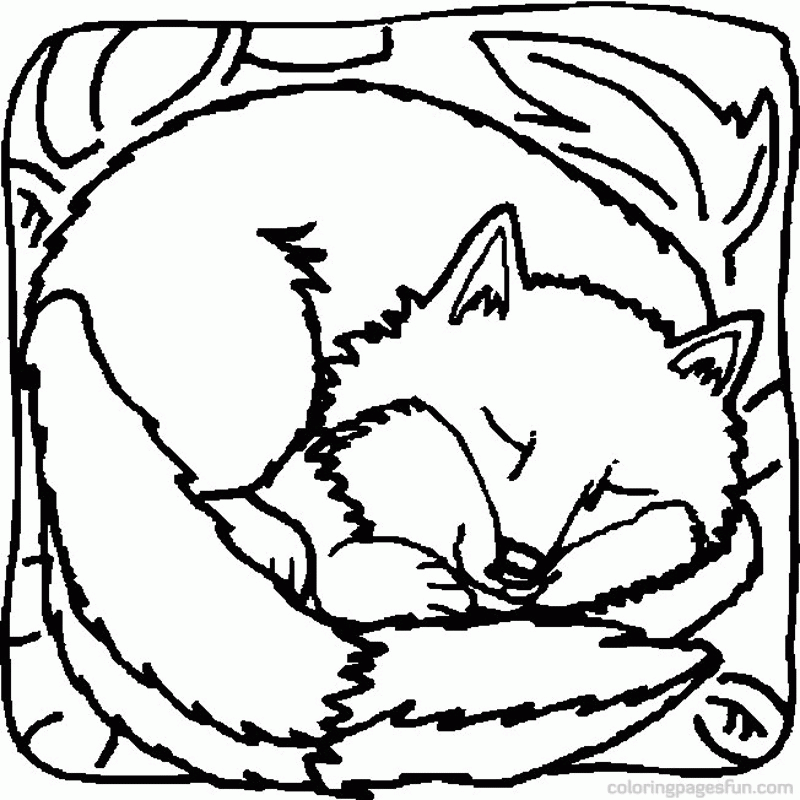 fox and monster energy Colouring Pages (page 2)