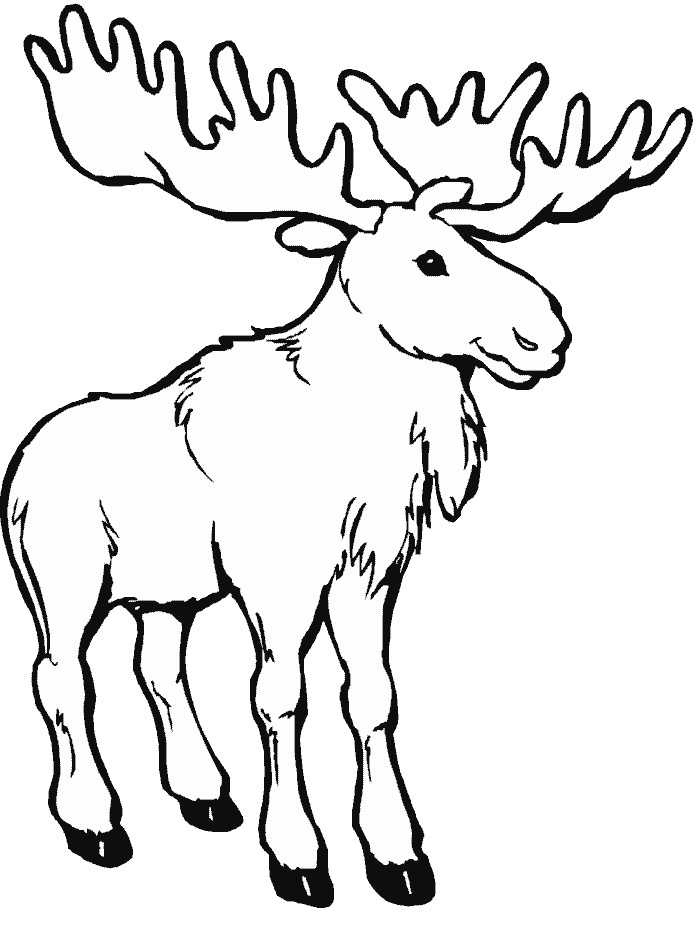Cartoon Moose Coloring Pages - Kids Colouring Pages
