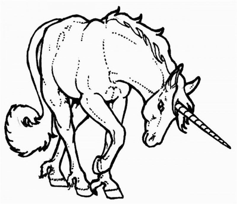 Cool Unicorn Coloring Pages - Kids Colouring Pages