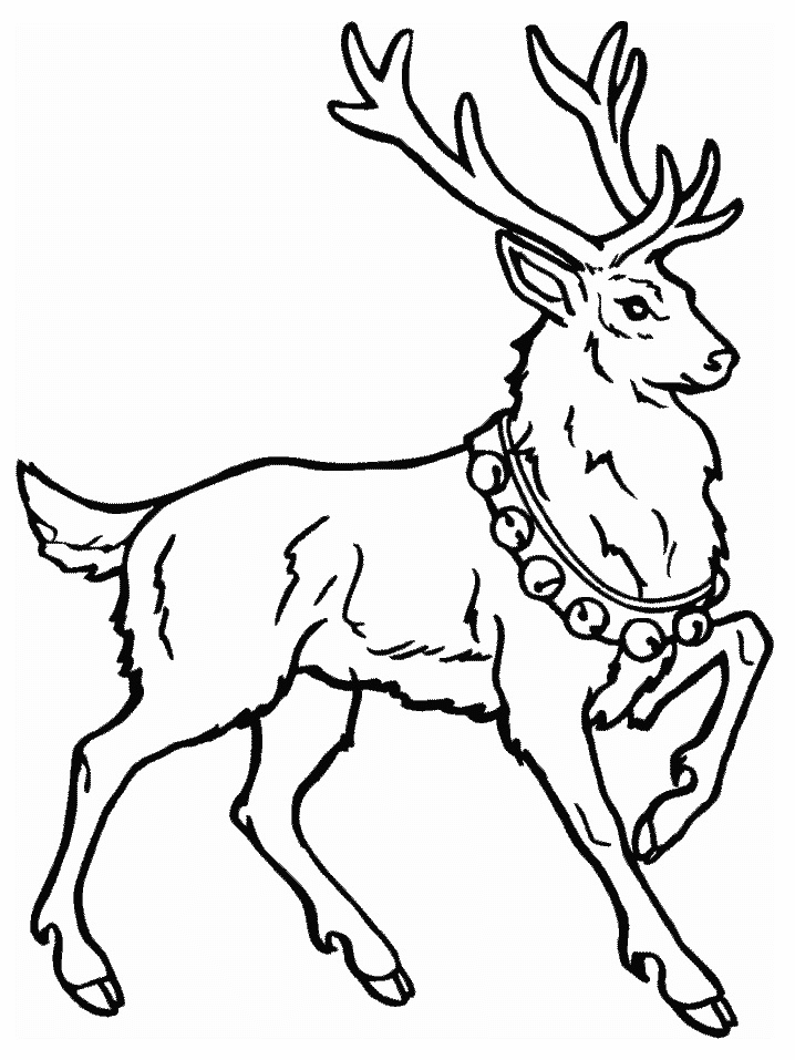 Coloring Pages Of Deer 434 | Free Printable Coloring Pages