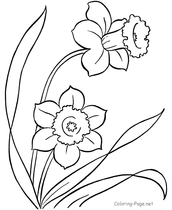 Spring Coloring Book Pages - Flowers