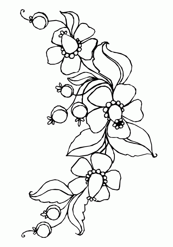 Flowers Coloring Pages To Print Out - Flowers Coloring Pages 