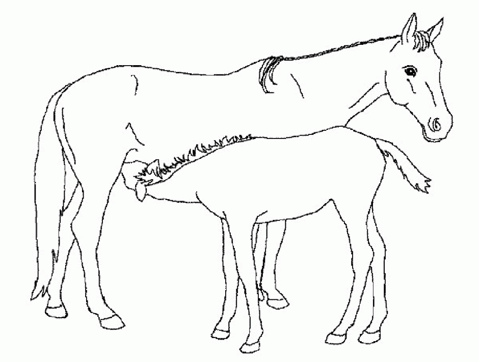 Carousel Horse Coloring Page Coloring Pages For Adults Coloring 