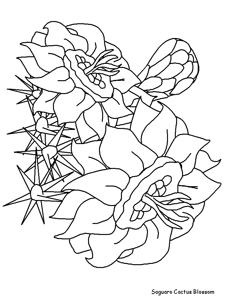 Saguaroblossom Flowers Coloring Pages & Coloring Book
