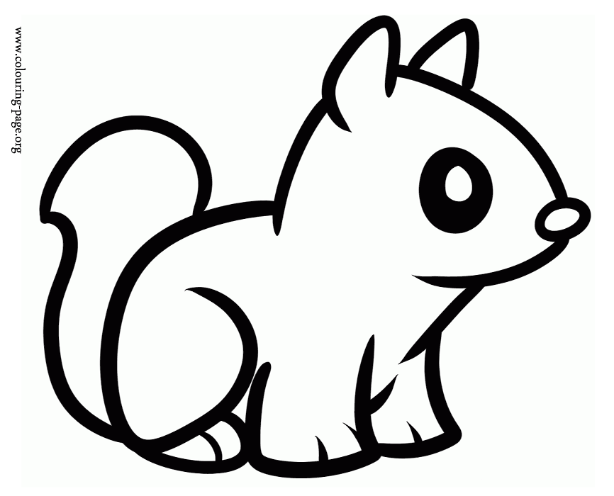 Squirrels - Little cute squirrel coloring page
