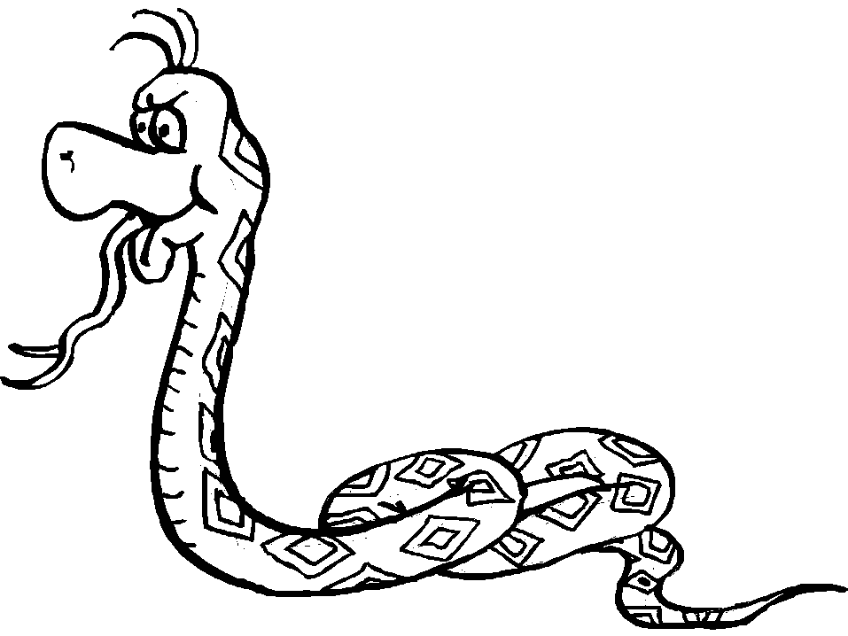 Animal Coloring Dangerous Snake Coloring Pages For Children's 