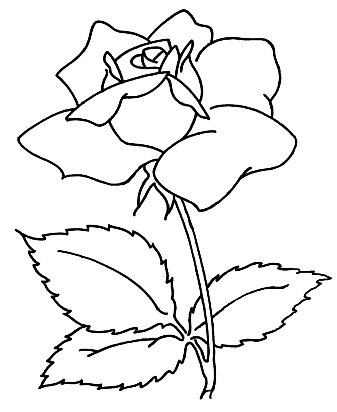 Cool Simple Flower Designs To Draw